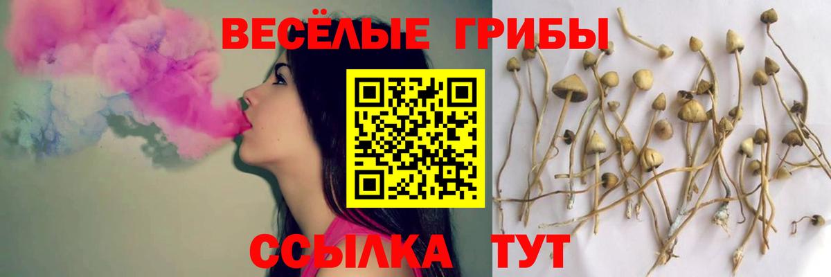 Галлюциногенные грибы прущие грибы Лабытнанги